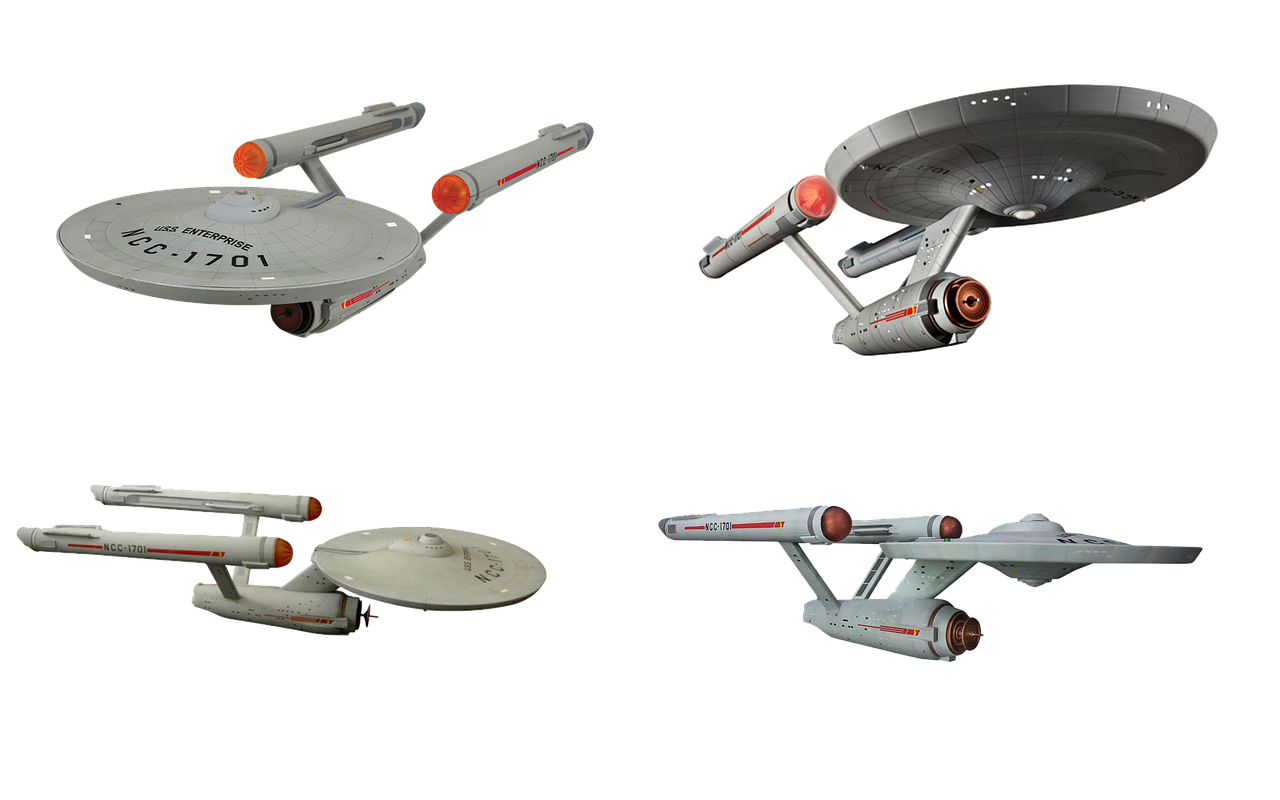 摇钱树app官网详情下载教程