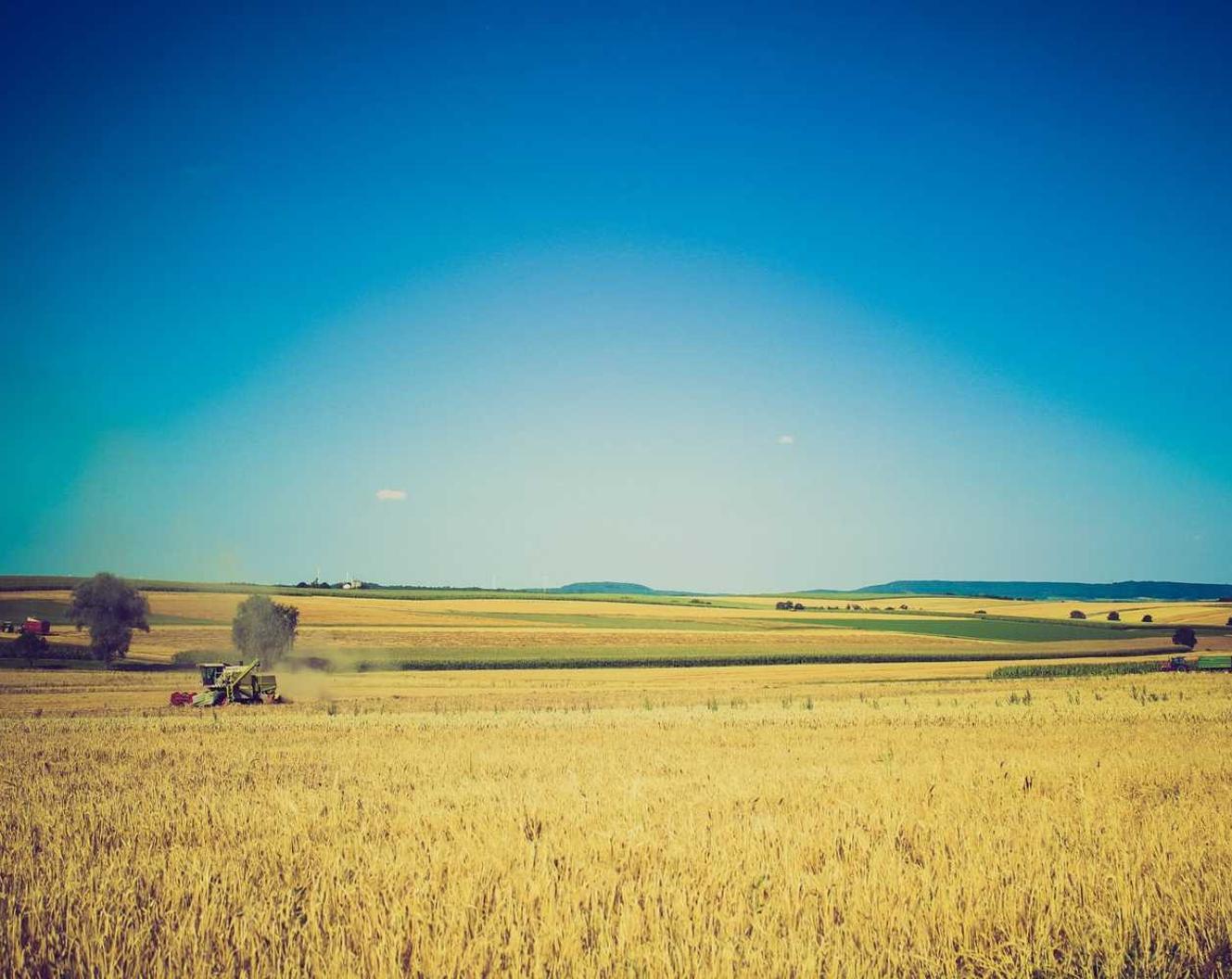 U友实名账号：衣闺蜜APP详情下载教程