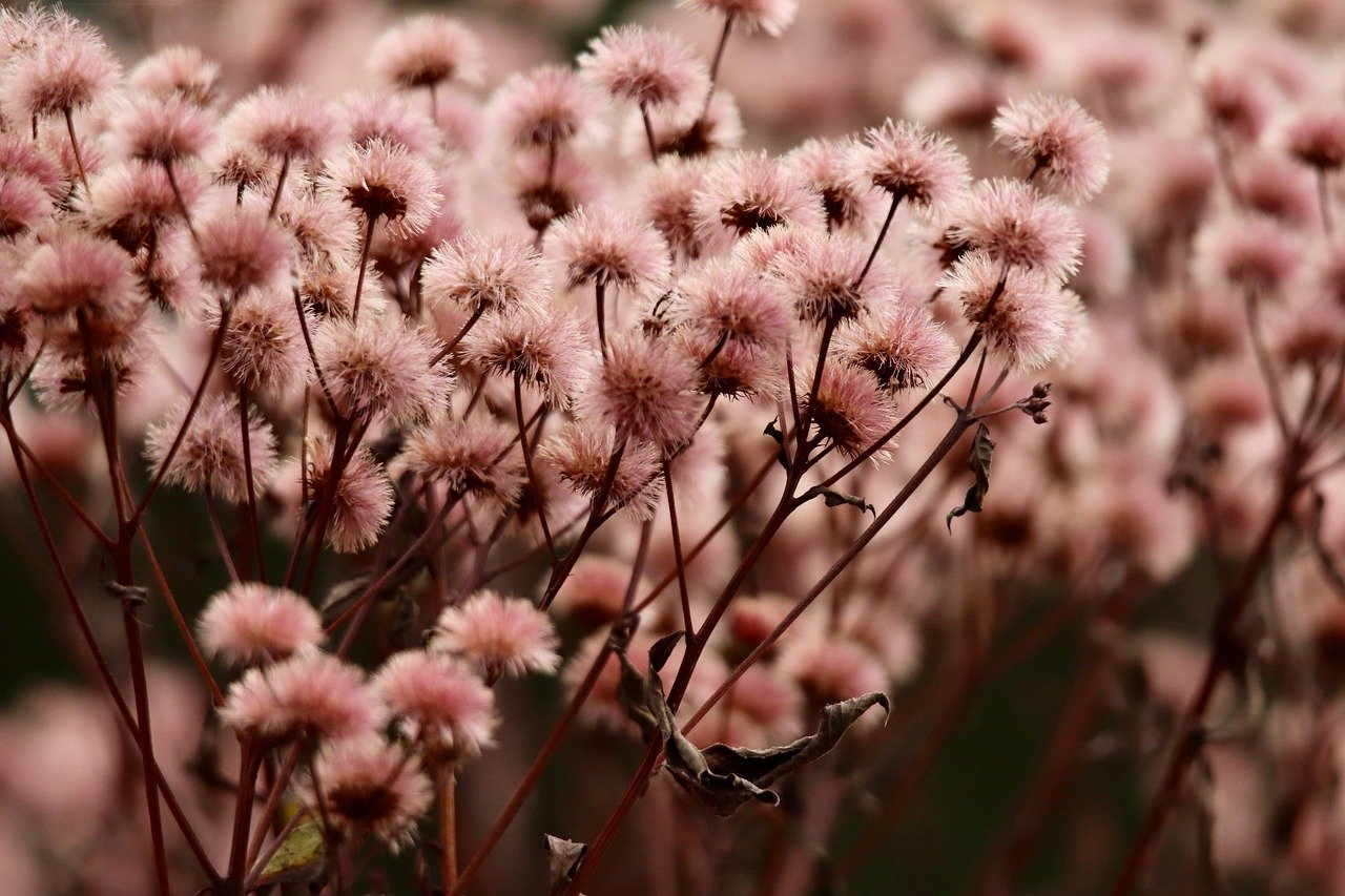 syn攻击|如何通过安全企业来保护你的小型企业