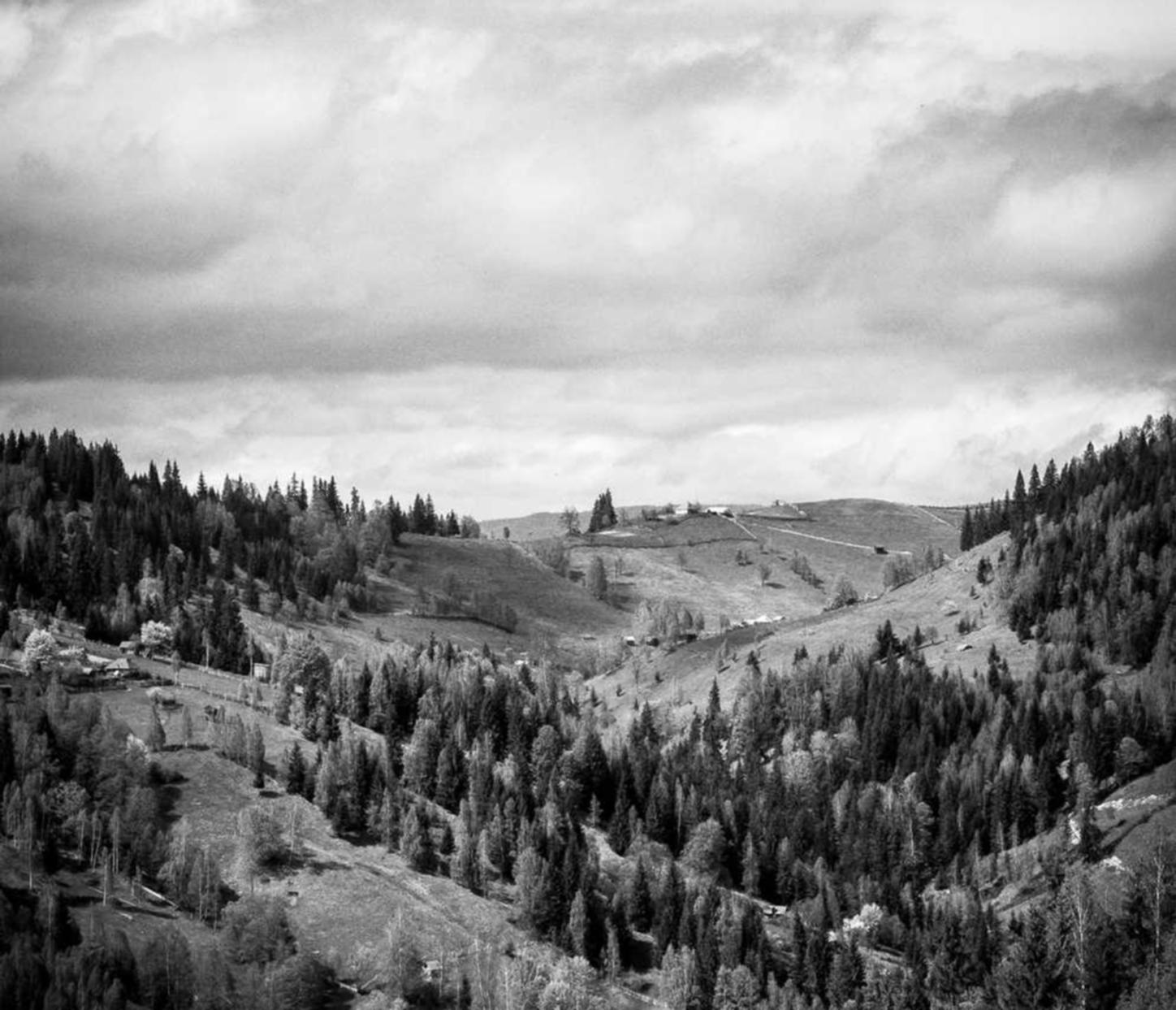 猫之宿约者：海尔优家app详情下载教程安装