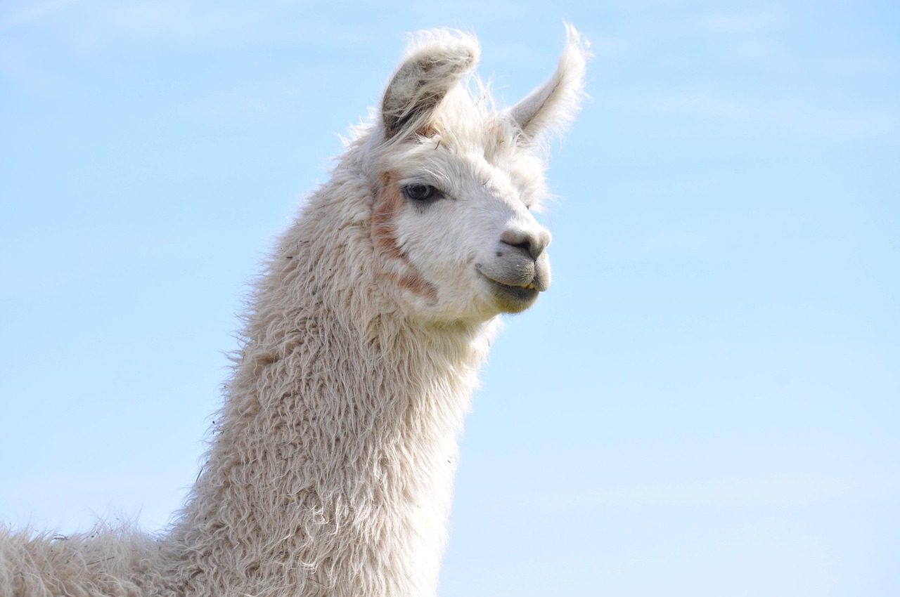 研究游戏技术支持的历史和现状，探究游戏技术支持带给我们什么？ 